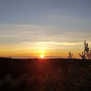 Il Panorama Montescudaio
